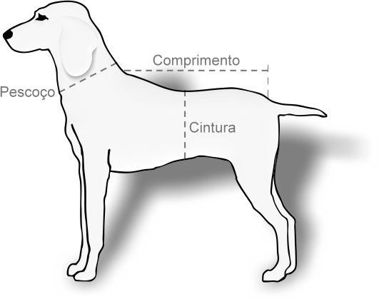 Como medir seu cão